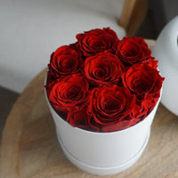 Forever Roses in a Box (Red 7 Roses) Home Gifts Leleyat Rose