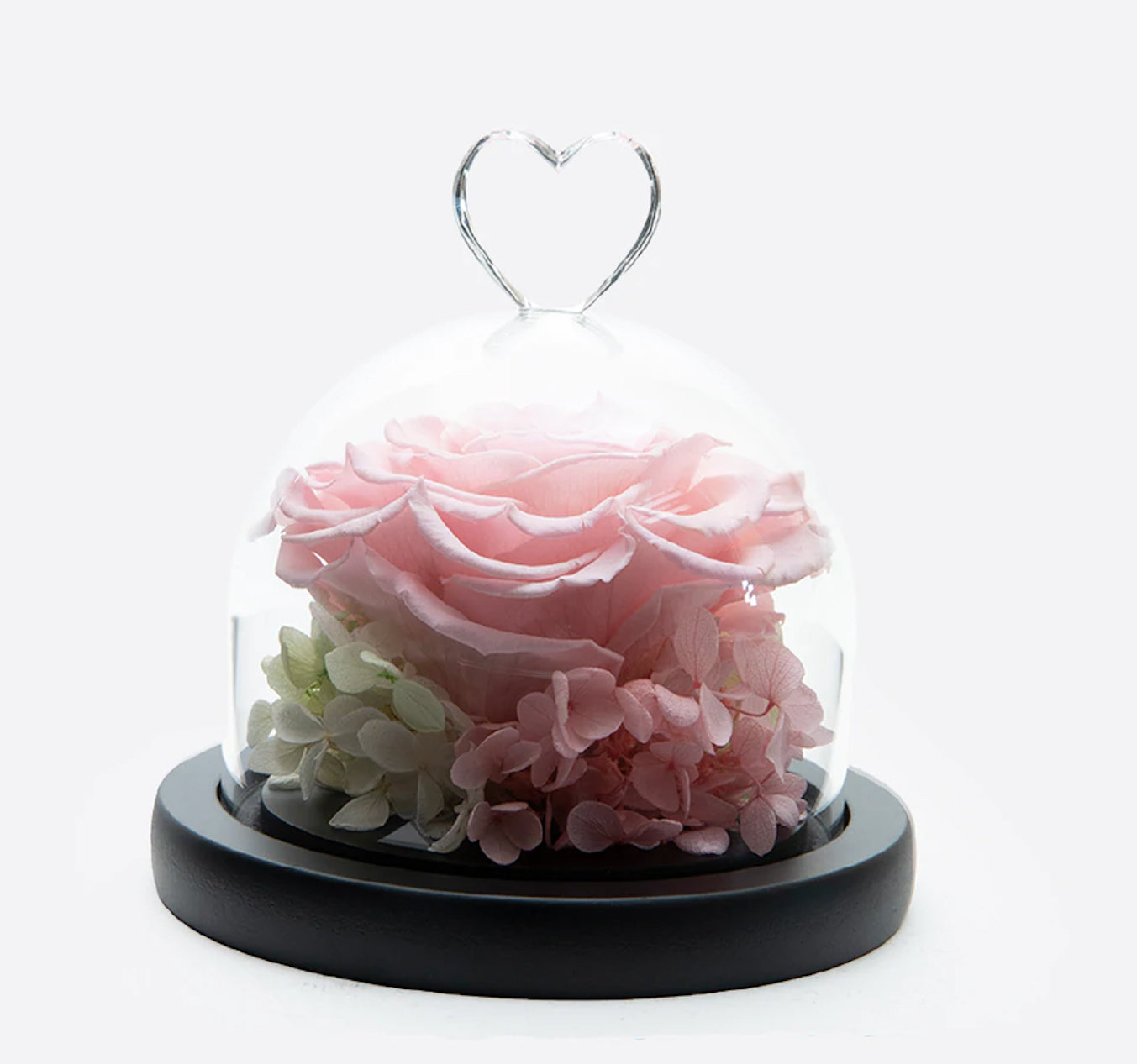  certainPL Fresh Preserved Rose Flower Lighted Glass