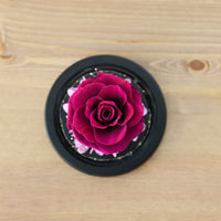 Leleyat Fleur Preserved Rose in Glass Globe with LED Lights Night Lights & Ambient Lighting Leleyat Fleur
