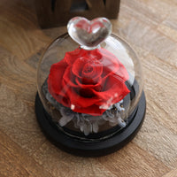 Leleyat Fleur Preserved Rose in Glass Globe with LED Lights Night Lights & Ambient Lighting Leleyat Fleur