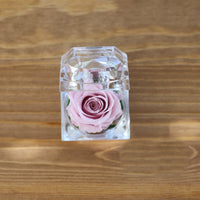 Leleyat Fleur Sweet Pink Rose Proposal Box Artificial Flora Leleyat Fleur