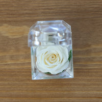 Leleyat Fleur White Rose Proposal Box Artificial Flora Leleyat Fleur