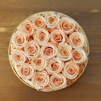 Leleyat Flower Box - 19 Beige Forever Roses that Last a Year - Roses in a Box For Every Occasion Leleyat Fleur