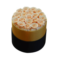 Leleyat Flower Box - 19 Beige Forever Roses that Last a Year - Roses in a Box For Every Occasion Leleyat Fleur
