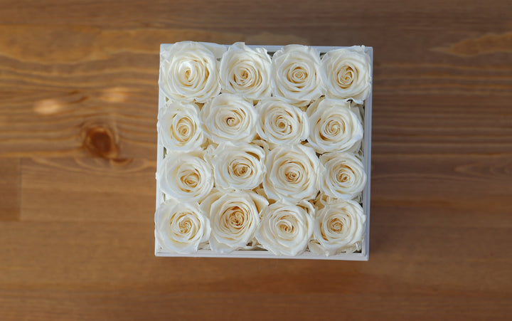 Why White Forever Roses are the Best Gift