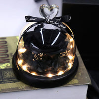 Forever Rose in a Glass LED lit Globe Night Lights & Ambient Lighting Leleyat Rose Black 