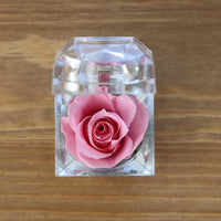 Leleyat Fleur Bright Pink Rose Proposal Box jewelry box Leleyat Fleur 