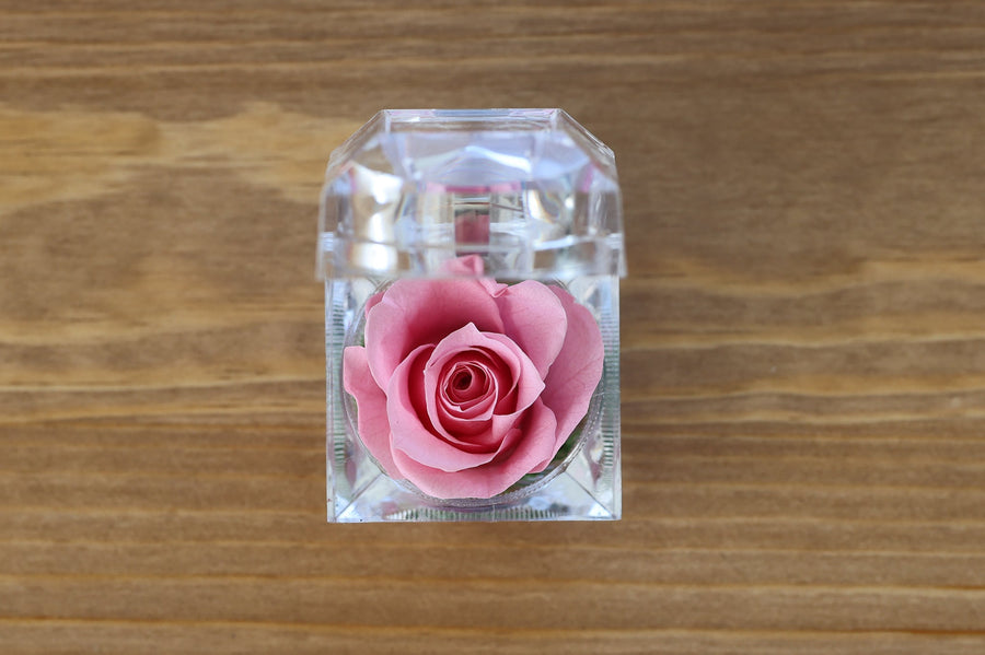 Leleyat Fleur Bright Pink Rose Proposal Box jewelry box Leleyat Fleur 