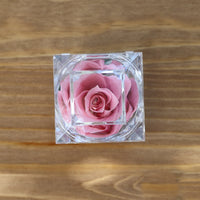 Leleyat Fleur Bright Pink Rose Proposal Box jewelry box Leleyat Fleur 