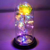 Leleyat Fleur Galaxy Rose in Beauty and the Beast Dome - 24K Flower Gift - Light Up Rose with LED Colored Lights Doubles as Nightlight Home Gifts Leleyat Fleur 