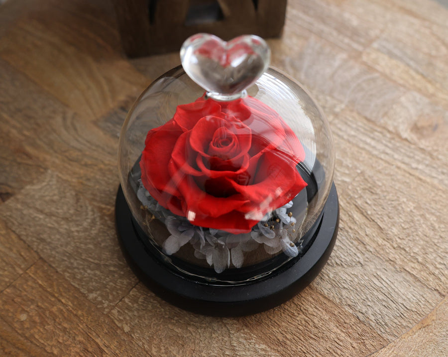 Leleyat Fleur Preserved Rose in Glass Globe with LED Lights Night Lights & Ambient Lighting Leleyat Fleur 