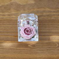 Leleyat Fleur Sweet Pink Rose Proposal Box Artificial Flora Leleyat Fleur 