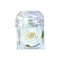 Leleyat Fleur White Rose Proposal Box Artificial Flora Leleyat Fleur 