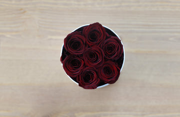 Leleyat Flower Box - 7 Wine Red Forever Roses that Last a Year - Roses in a Box For Every Occasion Leleyat Fleur 